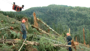 Episode 7 The Close Call