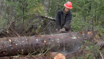 Episode 9 A Logger's Thanksgiving