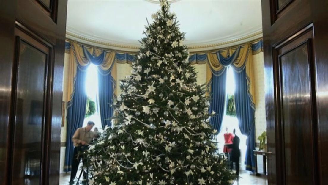 History Of Christmas Trees History