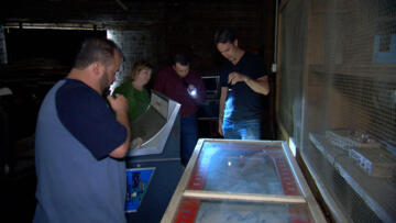 Episode 6 Pinball Mania