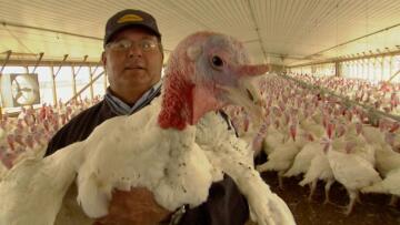 Watch Modern Marvels Season 14 Online HISTORY