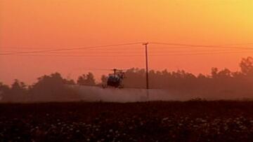 Episode 40 Harvesting