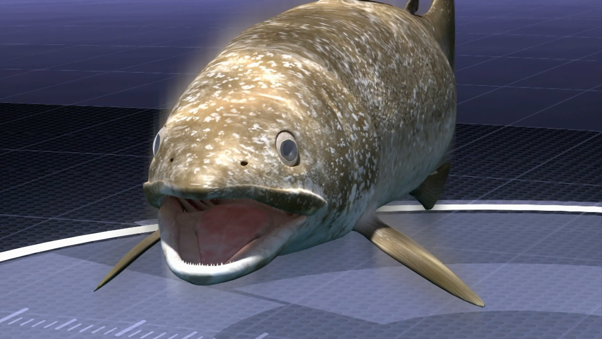 Gigantic Killer Fish