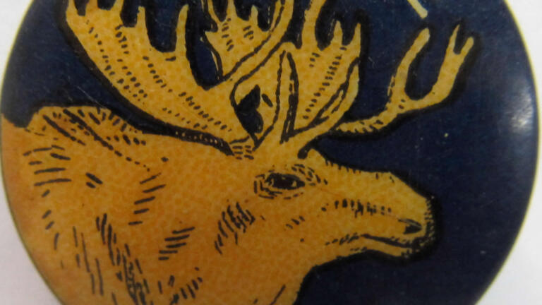 Theodore Roosevelt Joins Bull Moose Party thumbnail