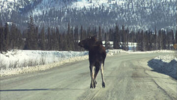 Episode 8 Killer Pass