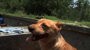 Episode 7 Under Fire