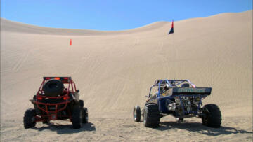 Episode 4 Looney Dunes
