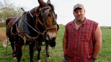 Episode 5 Larry Breeds Mules