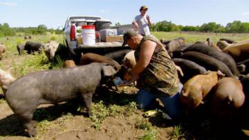 Episode 20 Larry & the Superpig
