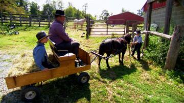 Episode 17 Larry Is Amish