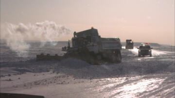 Episode 16 New King of the Dalton