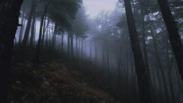 Episode 8 The Rendlesham Forest Incident