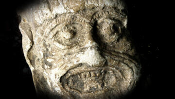 Episode 9 The Shapeshifters