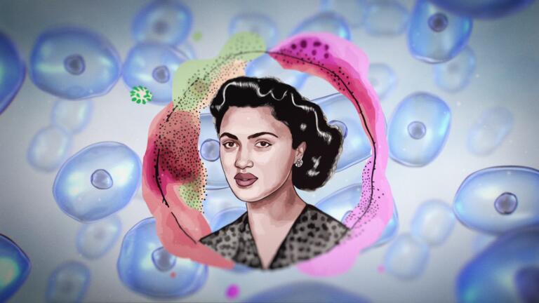 More to History: "The Immortal Life of Henrietta Lacks" thumbnail