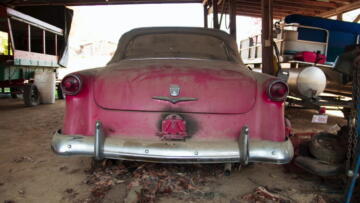 Episode 13 Rat Resort