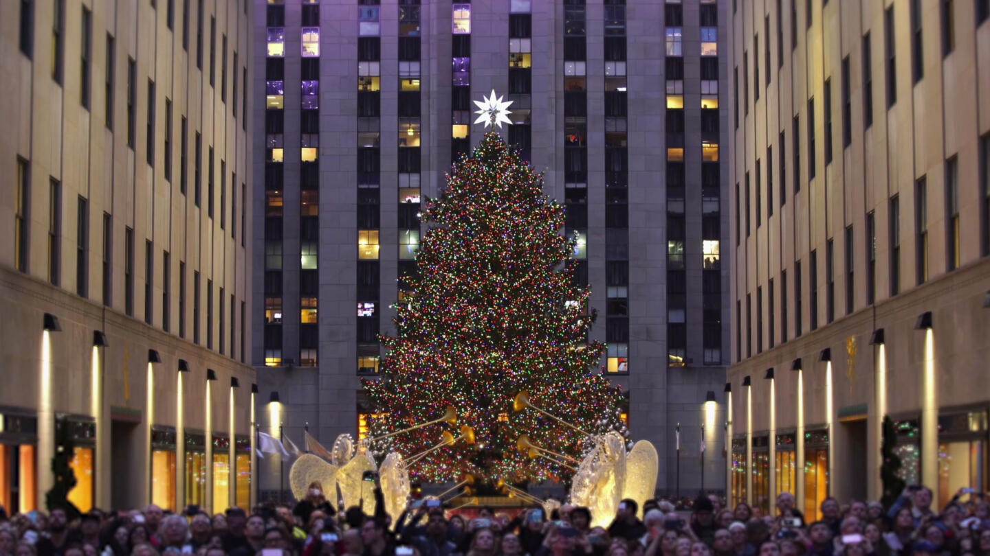 History Of Christmas Trees Symbolism Traditions Trivia History