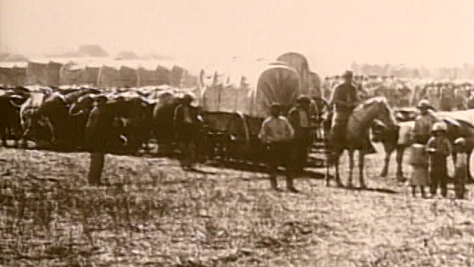 Westward Ho! The Wagon Train