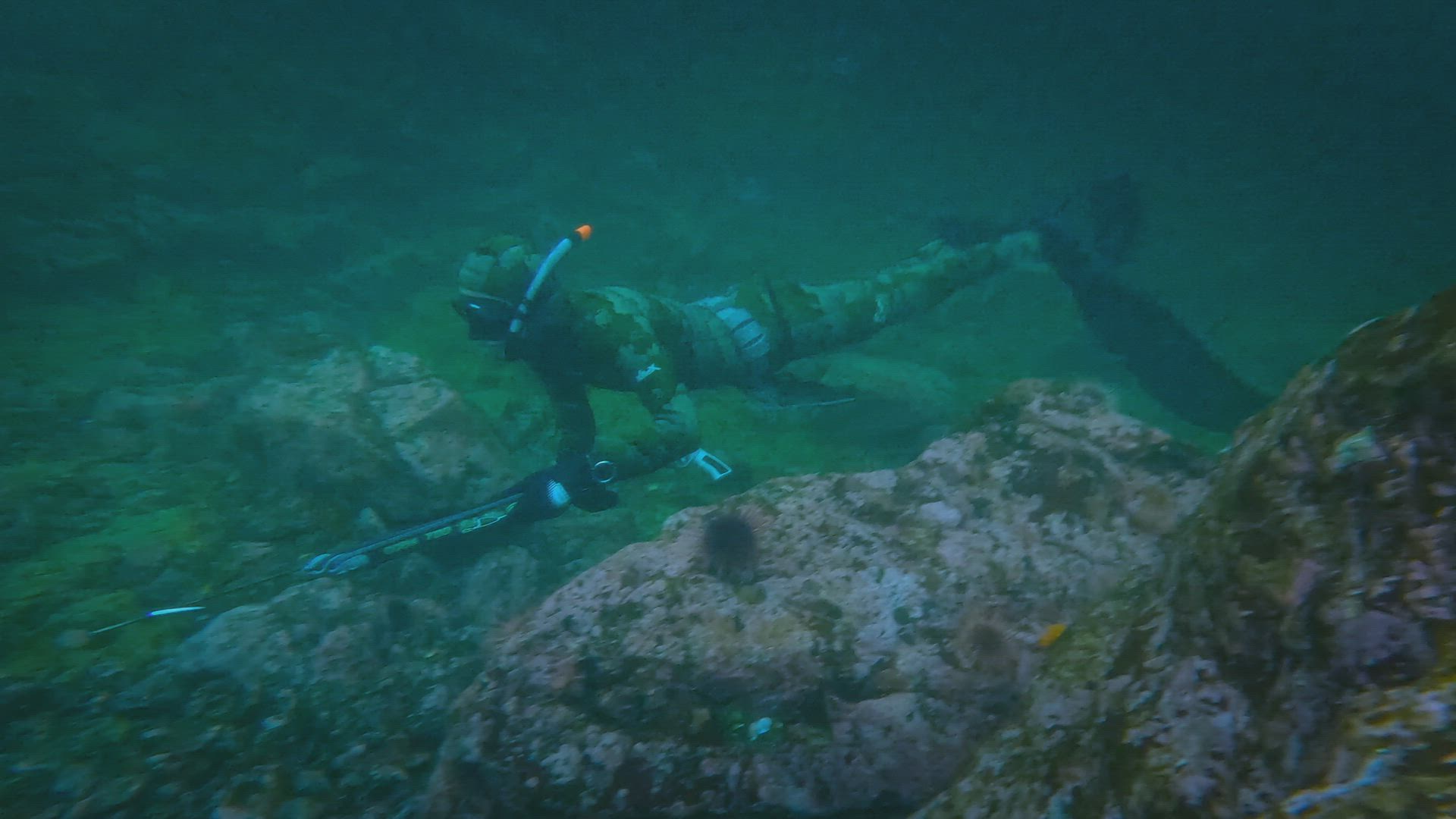 Hunting History with Steven Rinella