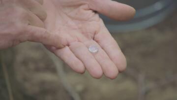 Episode 13 Caissons Ho!