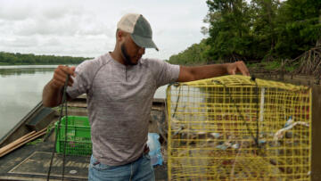 Episode 10 Pickle's Holiday