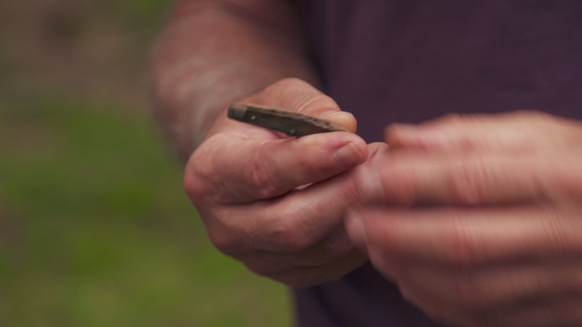 Top Discoveries Linked to Samuel Ball thumbnail