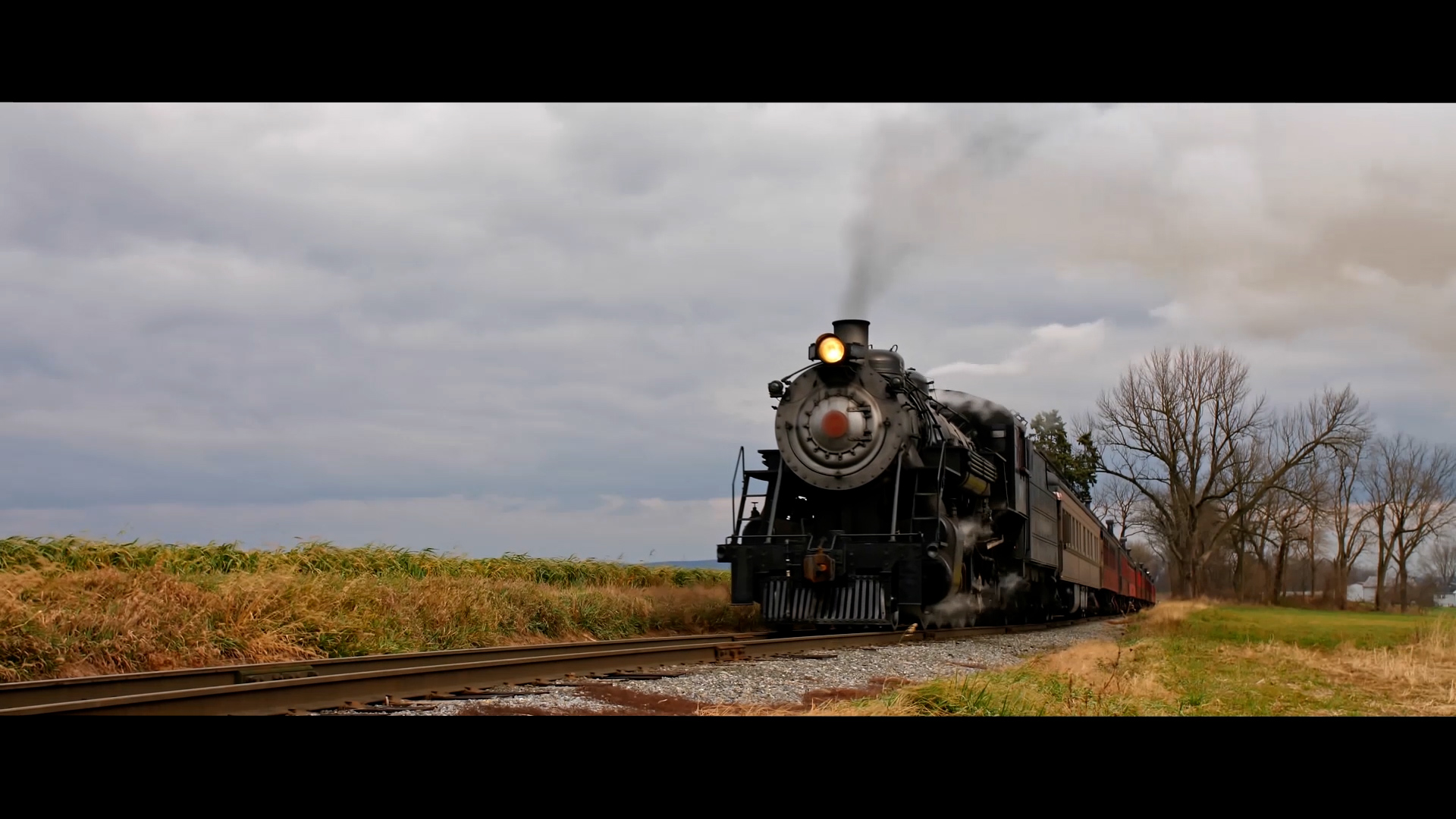 Fallen Timbers