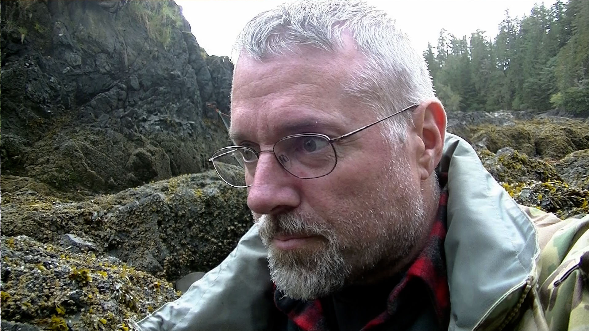 David Finds Limpets and Weasels thumbnail