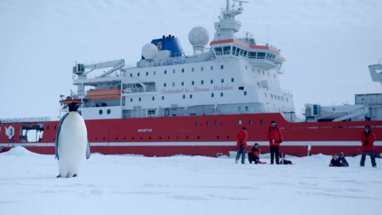 Shackleton's Shipwreck Lost in the Arctic thumbnail