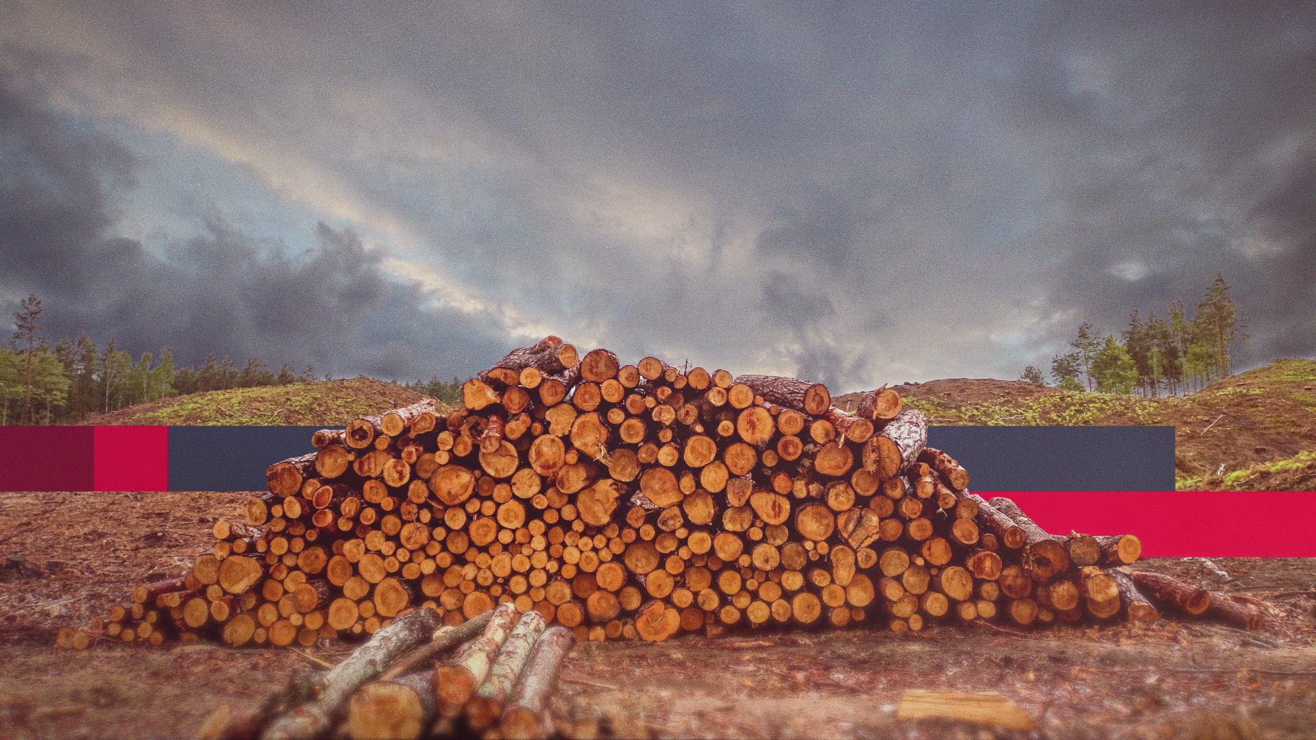 How a Camping Trip Brought Us Charcoal BBQs