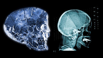 Episode 3 The Anunnaki Connection