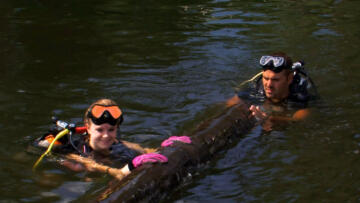 Episode 10 Logger Down