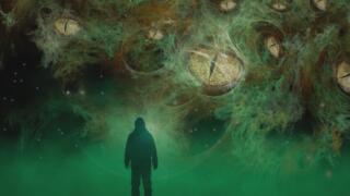 Charlotte Backyard UFO, Abducted Cow, and Sixteen Day Mummy