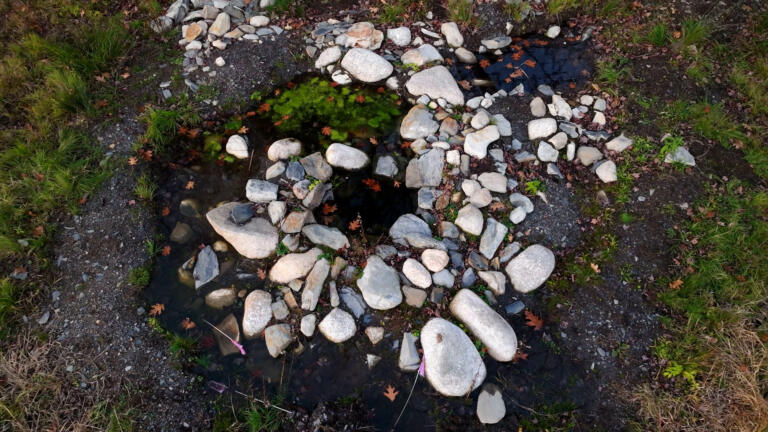 Digging Up the Past: Samuel Ball's Good Fortune thumbnail