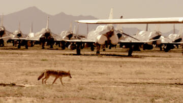 Episode 8 Armed & Defenseless