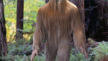 Episode 13 Bigfoot Revealed