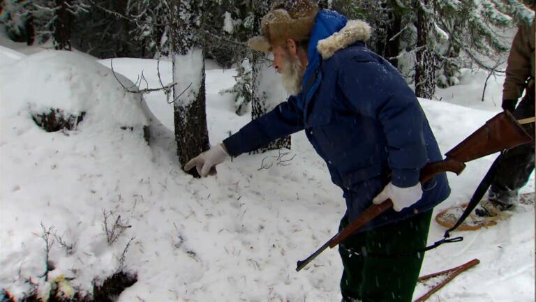 Tracking Wildlife thumbnail