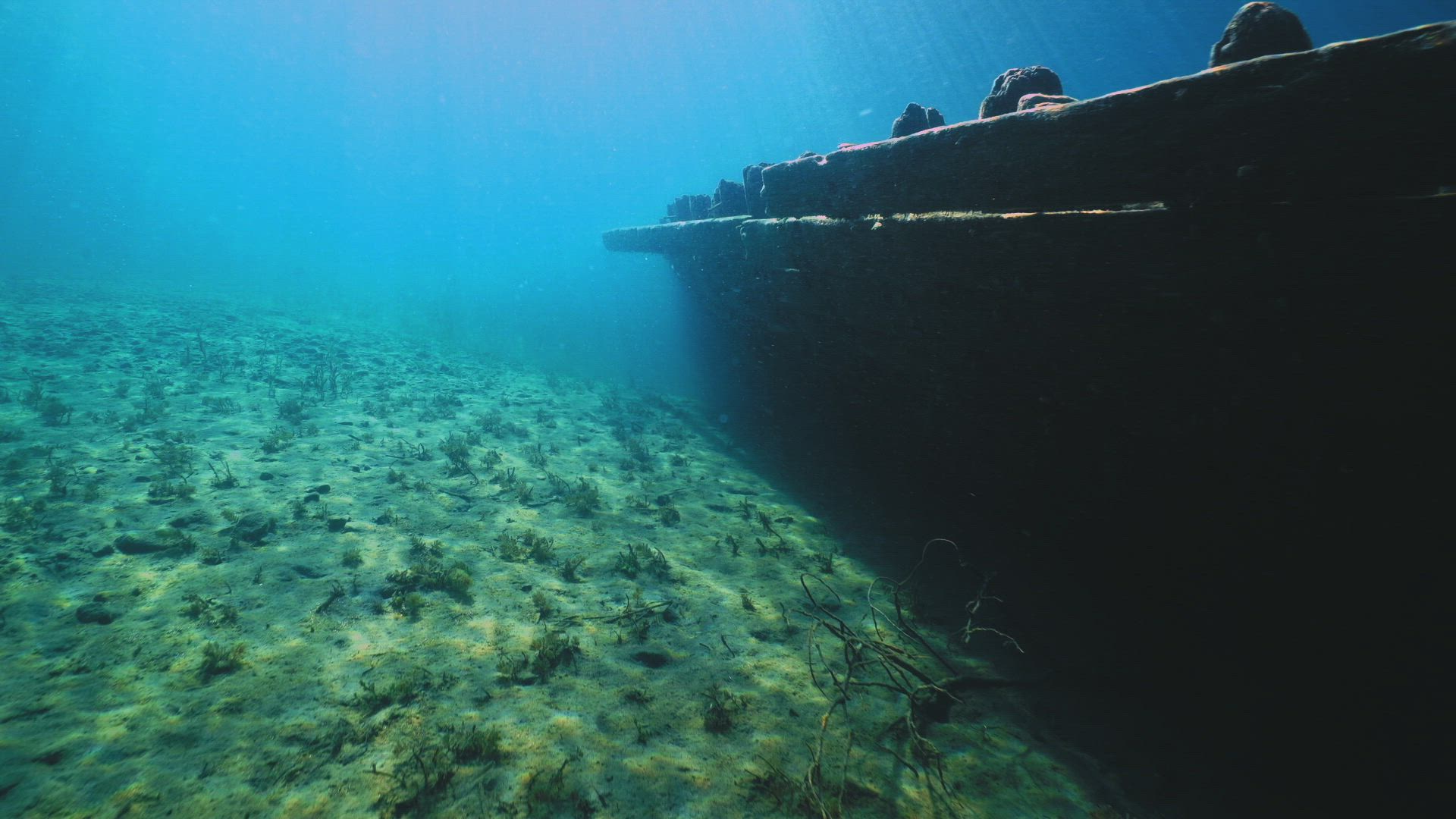 Lost at Sea