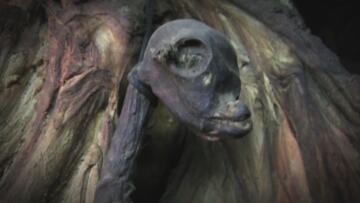 Episode 6 Mystery Bird Monster, Ancient Alien Satellite, and Behemoth of the Sea Bottom