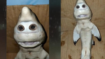 Episode 17 Mutant Mummy and Alien Monolith