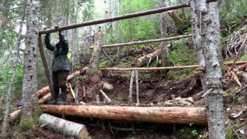 Episode 3 The Law of the Land