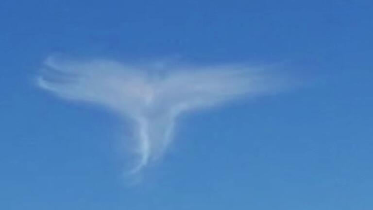 Unbelievable Gravity Defying Mysteries thumbnail