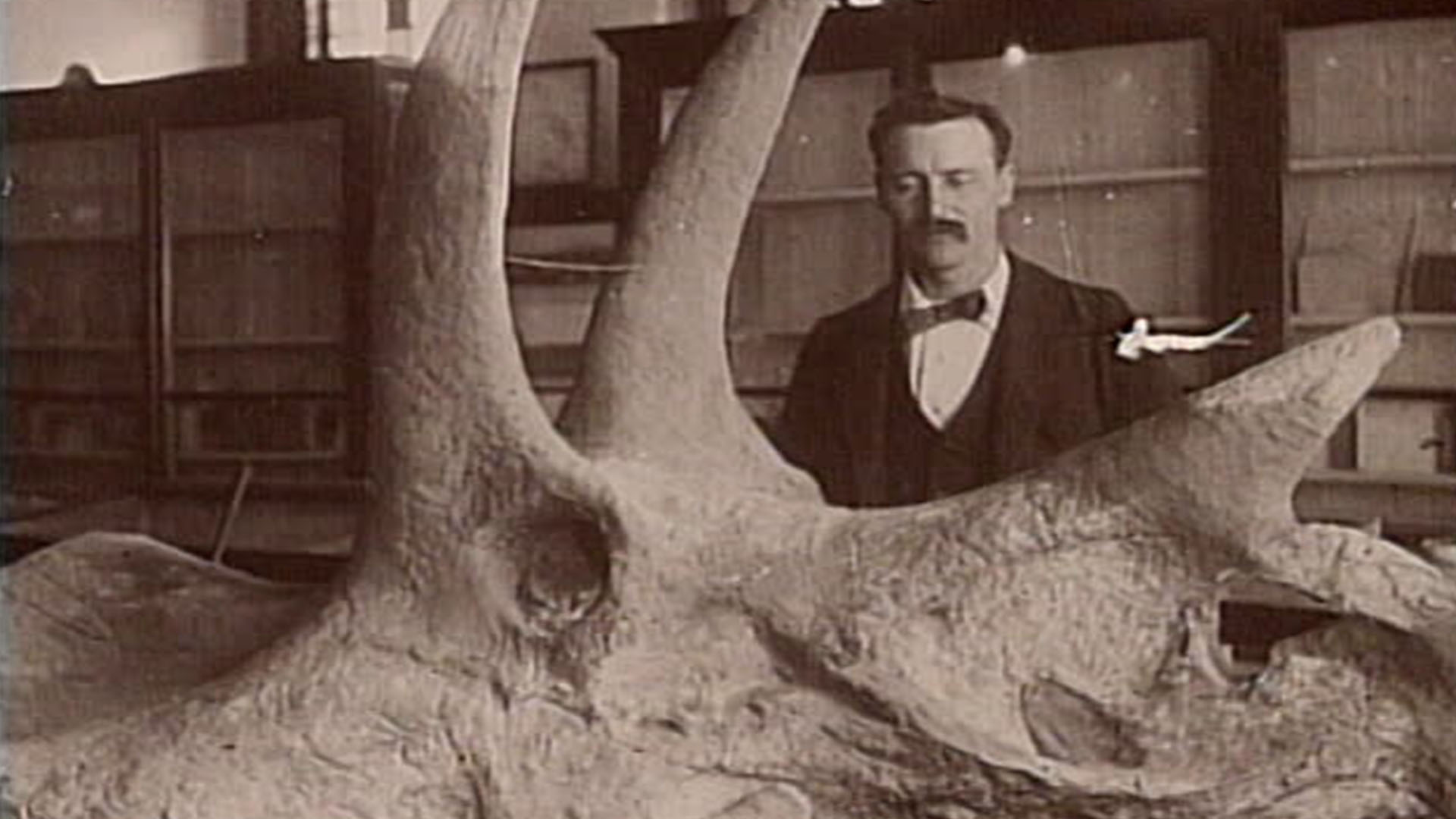 Dinosaur Hunters of the Old West