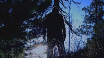 Episode 2 The Top Ten Extraordinary Creatures