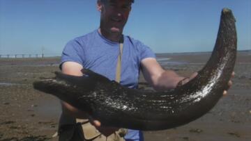 Episode 2 UFO Over the Andes, the Ohio Grassman, and Ancient Horn Mystery