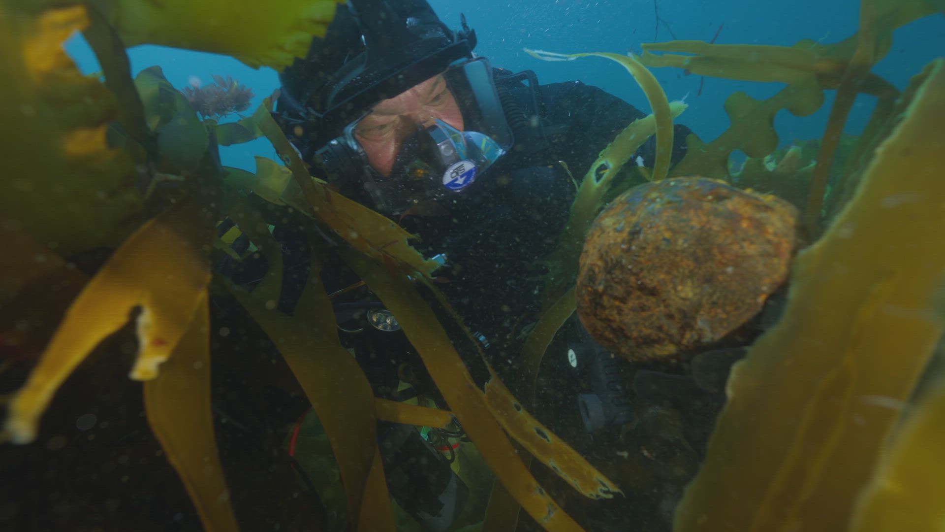 Phantom Wreck
