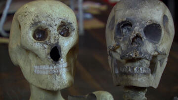 Episode 6 Creepiest Collections