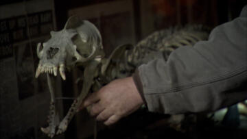 Episode 20 Super Best Bizarre Picks