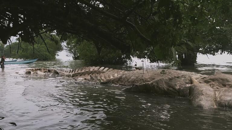 Craziest Paranormal Experiences thumbnail