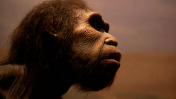 Episode 10 Mysteries of the Missing Link