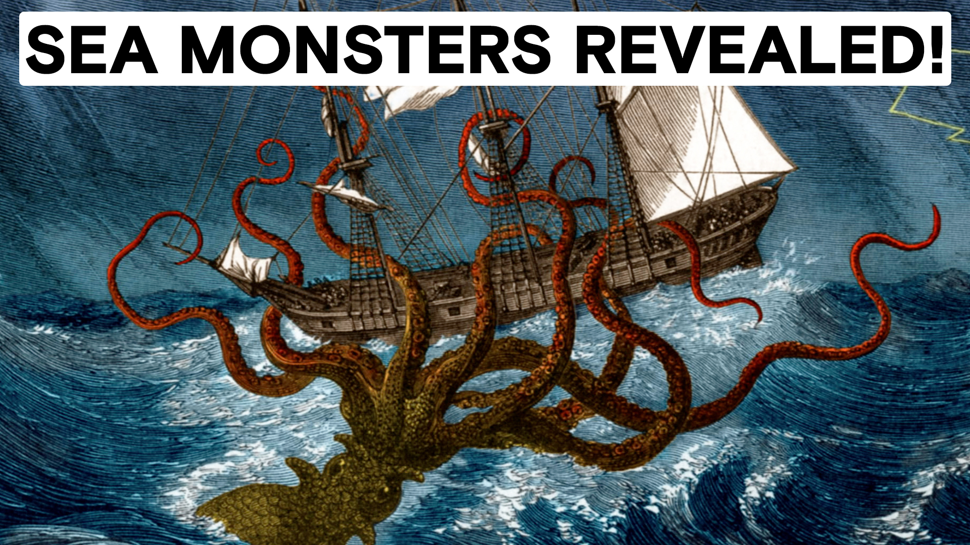 5 More Scary & Strange Sea Creatures thumbnail